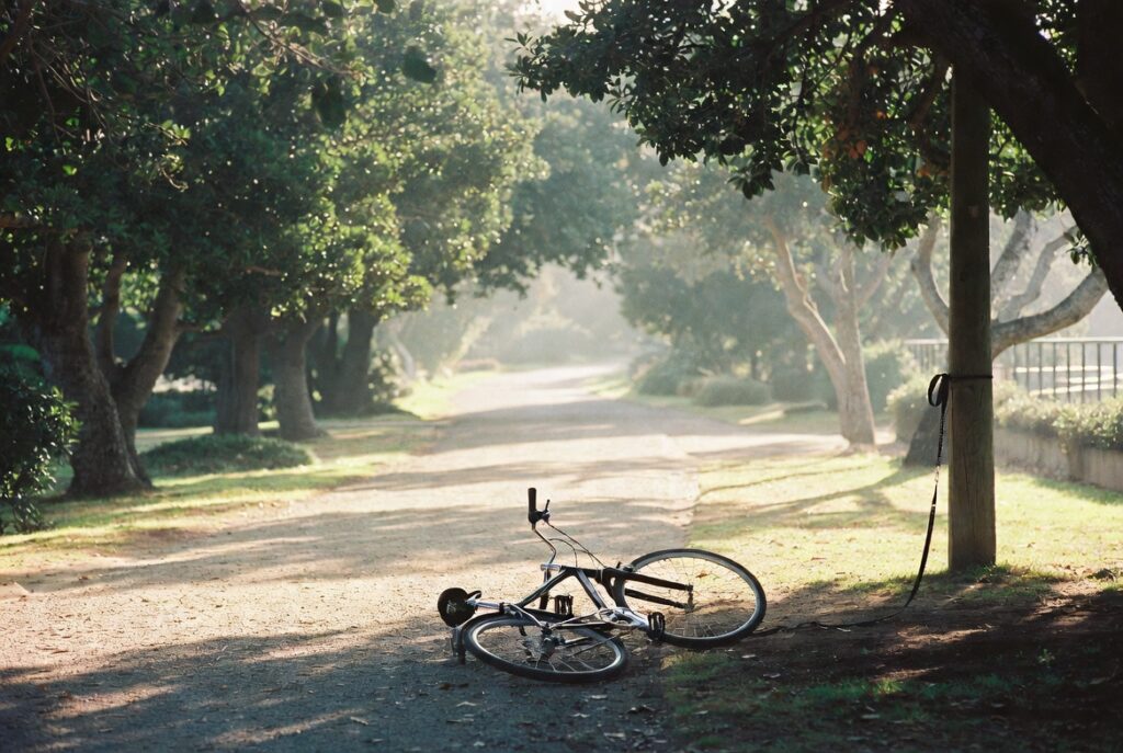 Park path in San Francisco where a loose dog chased a cyclist into a fall